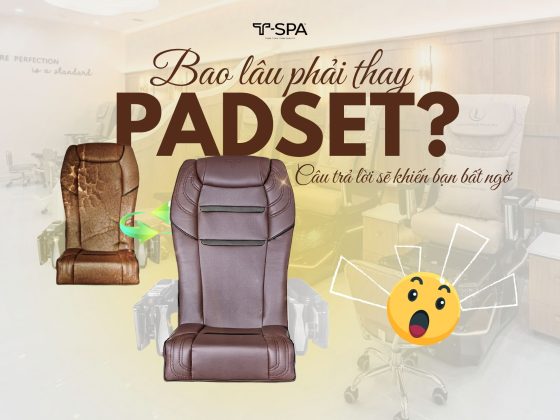 Bao lâu phải thay Padset? Câu trả lời sẽ khiến bạn bất ngờ